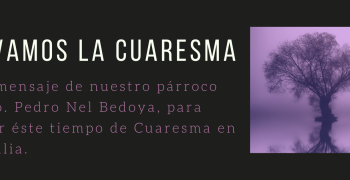 https://arquimedia.s3.amazonaws.com/101/mensajes/vivamoslacuaresmapng.png